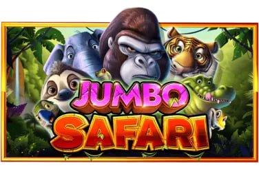 577 bdt